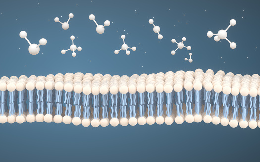 cell membrane and molecules 3d rendering