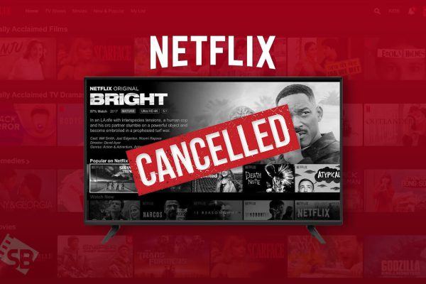 Cancel Netflix Sub